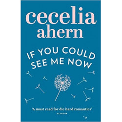 If You Could See Me Now de Cecelia Ahern