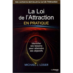 La loi de l'attraction en pratique-Michael Losier9782813213891