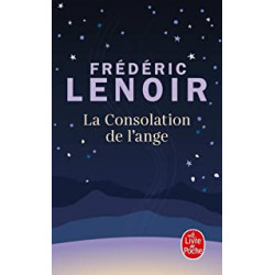 La Consolation de l'ange de Frederic Lenoir9782253078319