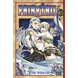 Fairy Tail T459782811620011