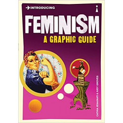 Introducing Feminism: A Graphic Guide9781848311213