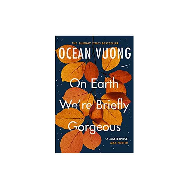 On Earth We're Briefly Gorgeous - Ocean Vuong9781529110685