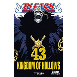 Bleach - Tome 43 : Kingdom of hollows9782723481632