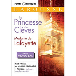 La princesse de Clèves de MADAME DE LAFAYETTE