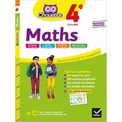 Maths 4e: cahier d'entraînement et de révision9782401051270