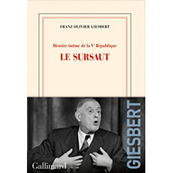 Histoire intime de la Vᵉ République: Le sursaut (1)-FRANZ OLIVIER GIESBERT