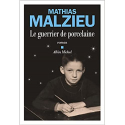 Le Guerrier de porcelaine de Mathias Malzieu