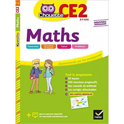 Maths CE2: cahier d'entraînement et de révision9782401050402