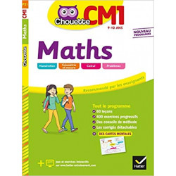 Maths CM1: cahier d'entraînement et de révision9782401050419