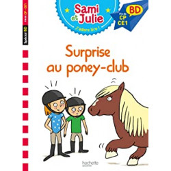 Sami et Julie BD : Surprise...