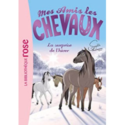Mes amis les chevaux, tome 7 : La surprise de l'hiver