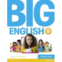 Big English 6 Activity Book9781447950967