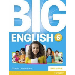 Big English 6 Pupils Book9781447951315