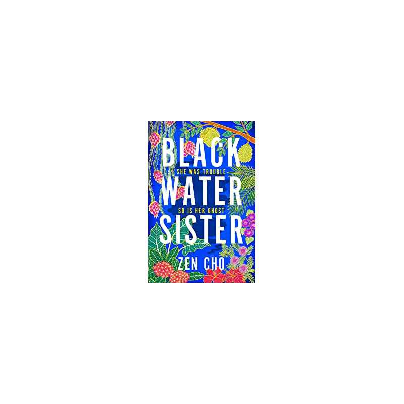 Black Water Sister9781509800018