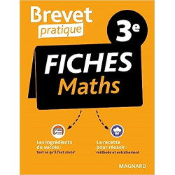 Brevet Pratique Fiches Maths 3e - Brevet 2023