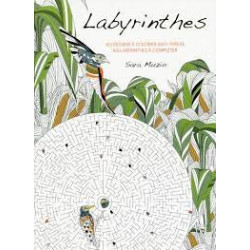 Labyrinthes 60 dessins à colorier anti-stress 60 labyrinthes à compléter9788861129344