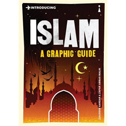 Introducing Islam: A Graphic Guide de Ziauddin Sardar9781848310841