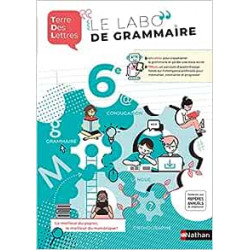 Cahier Terre des Lettres 6e - Cahier d'activités élève