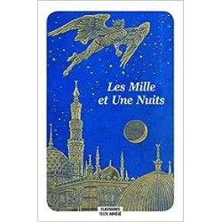 Les Mille et Une Nuits de Véronique Charpentier9782211238410