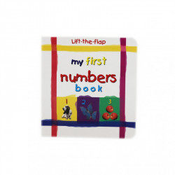 My First Numbers Book9780755400768