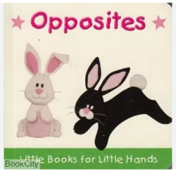 Baby Firsts - Opposites9780755400119