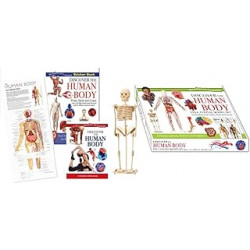 Robert Frederick Discover The Human Body Educational Model Set9781786902399