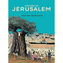 Histoire de Jérusalem de Vincent Lemire et Christophe Gaultier