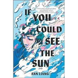 If You Could See the Sun de Ann Liang