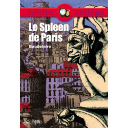 Le Spleen de Paris, Baudelaire