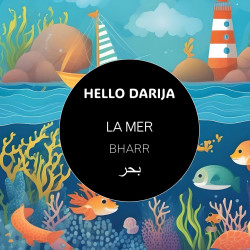 HELLO DARIJA LA MER BHARR