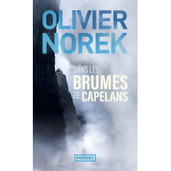 Dans les brumes de Capelans de Olivier Norek