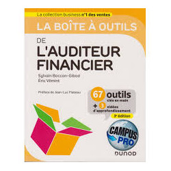 La boite à outils de l’auditeur financier – 3e éd.