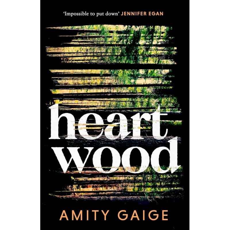 Heartwood Paperback by Amity Gaige9780349127569