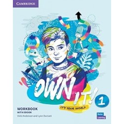 OWN IT! LEVEL 1 WORKEBOOK