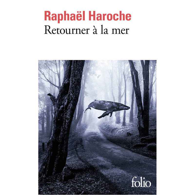 Retourner à la mer De Raphaël Haroche9782072793202