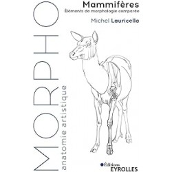 Morpho Mammifères: Eléments de morphologie comparée de Michel Lauricella