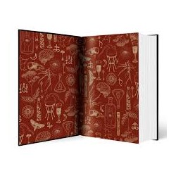 Alchemised by SenLinYu HARDBACK9780241714331