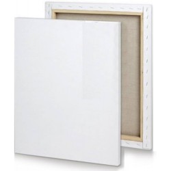 motaro canvas 50*50 280g