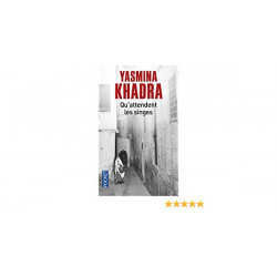 Qu'attendent les singes: Yasmina Khadra