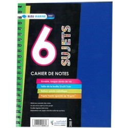 CAHIER DE NOTES 6 SUJETS 288P SPIRAL SEYES