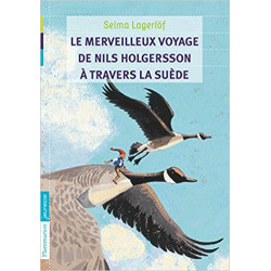 Le merveilleux voyage de Nils Holgersson à travers la Suède9782081242081
