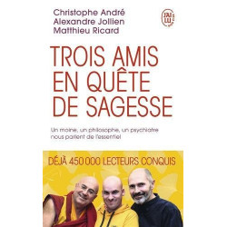 Trois amis en quête de sagesse : Un moine, un philosophe, un psychiatre nous parlent de l'essentiel