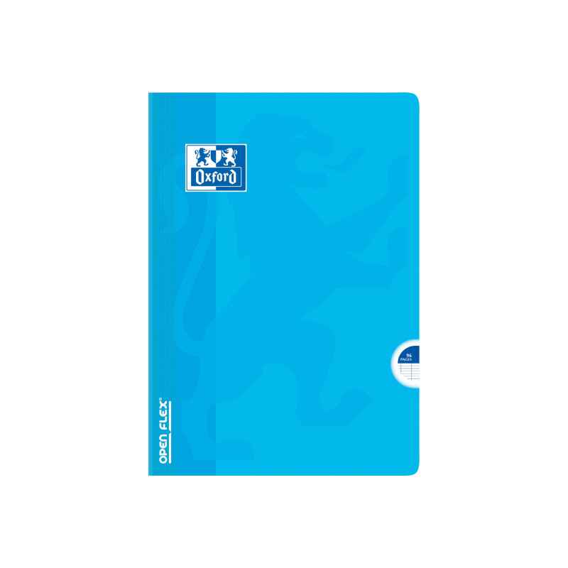 cahier grand format 100 pages 21*29.7 oxford