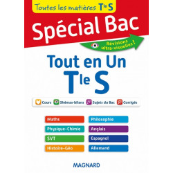 Spécial Bac - Tout en Un Tle S9782210740433