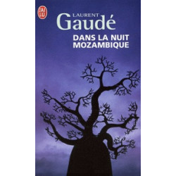 Dans la nuit mozambique - Et autres récits (Broché) Laurent Gaudé