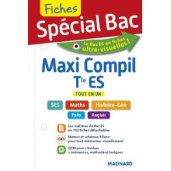 FICHES SPE BAC Maxi-compil Tle ES - Tout en un9782210757127