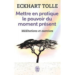 Mettre En Pratique Le Pouvoir Du Moment (Bien Etre) (French Edition) Eckhart Tolle9782290020210