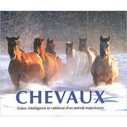 Chevaux : Grâce, intelligence et noblesse d'un animal majestueux Reli9781445467290
