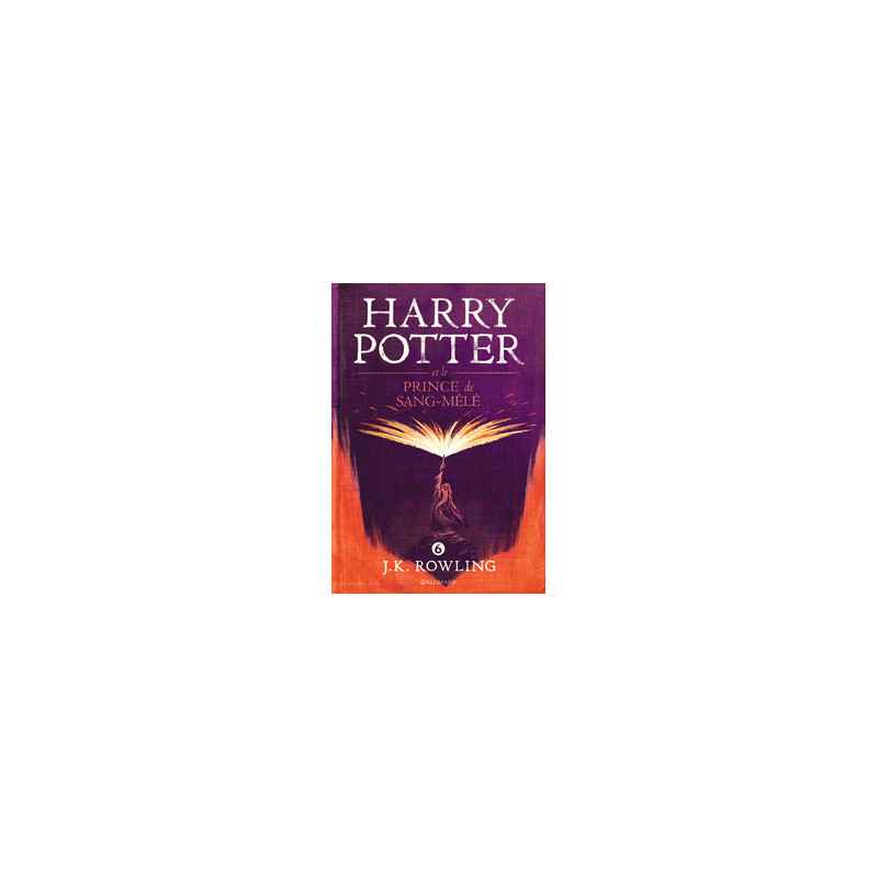 J. K. ROWLING Harry Potter VI Harry Potter et le Prince de Sang-Mêlé9782070624904