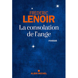 La Consolation de l'ange Format Kindle de Frédéric Lenoir9782226438218